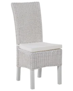 Set Of 2 Rattan Dining Chairs White ANDES -Best Furniture Store undef src sa picid 712642 type whitesh image scaled