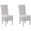 Set Of 2 Rattan Dining Chairs White ANDES