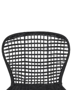 Set Of 2 Rattan Dining Chairs Black ELFROS -Best Furniture Store undef src sa picid 759981 type whitesh image scaled