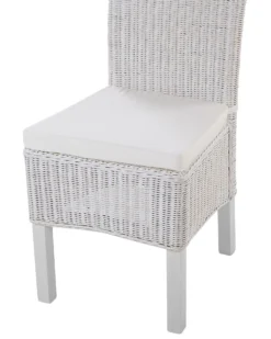 Set Of 2 Rattan Dining Chairs White ANDES -Best Furniture Store undef src sa picid 767379 type whitesh image scaled