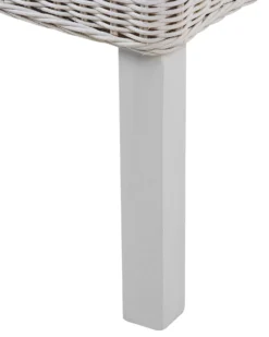 Set Of 2 Rattan Dining Chairs White ANDES -Best Furniture Store undef src sa picid 767382 type whitesh image scaled